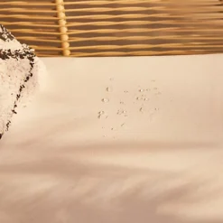 Beautify BTFY Rattan Effect Bistro Set, Weatherproof Boho 2 Seater Patio Set, Wing Back Armchairs, Cushions & Glass Top Table -Flymo Shop beautify btfy rattan effect bistro set weatherproof boho 2 seater patio set wing back armchairs cushions glass top table5056115790430 04c MP