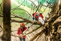 Einhell Power X-Change High Reach Hedge Trimmer - With Battery And Charger - Includes Pole Saw Attachment - GE-HC 18 Li T Kit -Flymo Shop einhell power x change high reach hedge trimmer with battery and charger includes pole saw attachment ge hc 18 li t kit4006825601329 02c MP